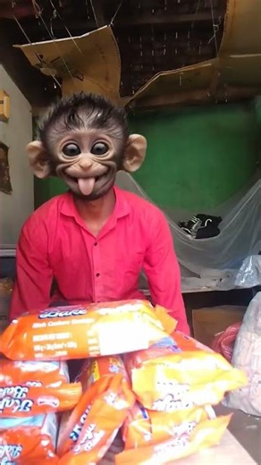 Funny monkey #104​