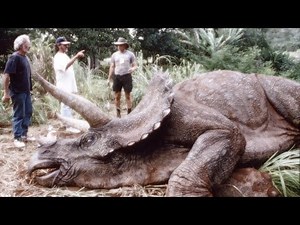 JURASSIC PARK TRICERATOPS - Part 1 - Puppeteering an Animatronic Dinosaur
