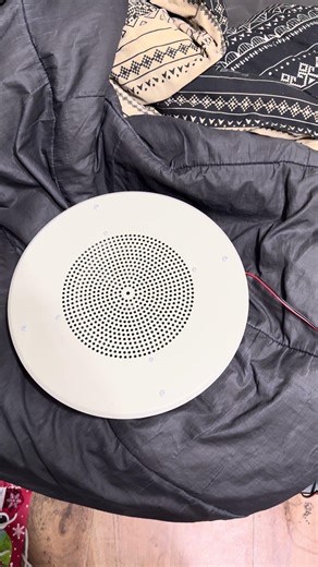 Bogen S810 Speaker Playing “Should I Stay or Should I Go” By The Clash