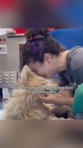 Between a human and a dog, love lives in loyalty ❤️