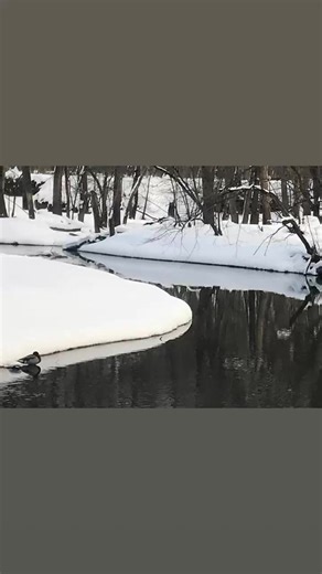 Boruch Lev on Instagram