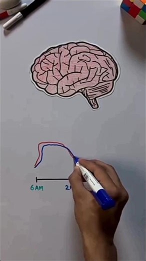 Topper's Secret Holiday Routine to Score Highest Marks in Exam💥 #shorts #study #studytips #topper