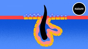 17K views · 465 reactions | Our skin is home to billions of microorganisms, the vast majority of which are bacteria. Much like the microbiome in our gut, these microbes play a crucial part in keeping us healthy. | Nature Portfolio | Facebook