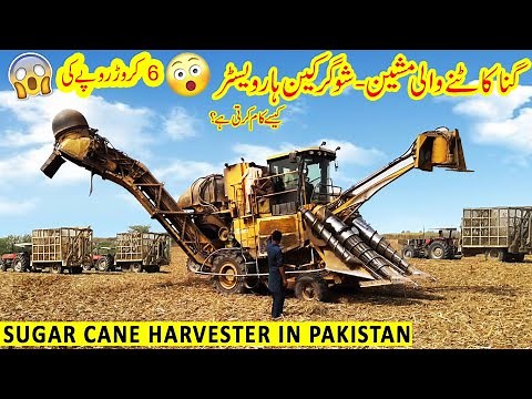 Sugarcane Harvester in Pakistan - Cameco Sugarcane Harvester Review