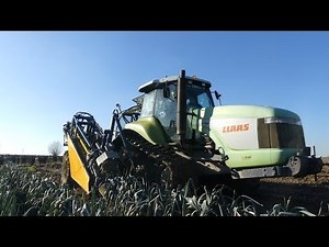 Arrachage de Poireaux avec un Tracteur de Légende! Chenillard Claas Challenger