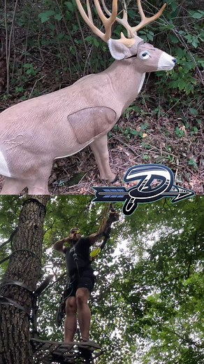 2.7K views · 523 reactions | A little treestand practice! - Season is right around the corner. This was Jude’s first time shooting from a real hang on stand situation. He did pretty well! He is pumped for his first archery season!! - INVENTORY REDUCTION SALE!! Delta Pocket Quivers - Color: Black !!! - Save & Shop Now at ThePushArchery.com - #traditionalarchery #archery #traditionalbowhunting #bowhunt #bowhunting #recurves #longbows #getprimal | The Push Archery | Facebook