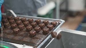 making machine of chocolate sweets. Chocolate factory. Sweets production process. Conveyor belt with sweet. Production in coconut sweets on cake factory