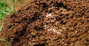 Video by Kelly     on Pexels