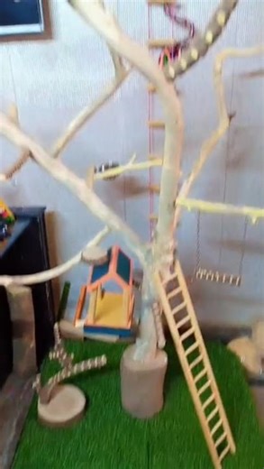 DIY Giant Parrot Tree Stand – Handcrafted Natural Wood for Big Birds