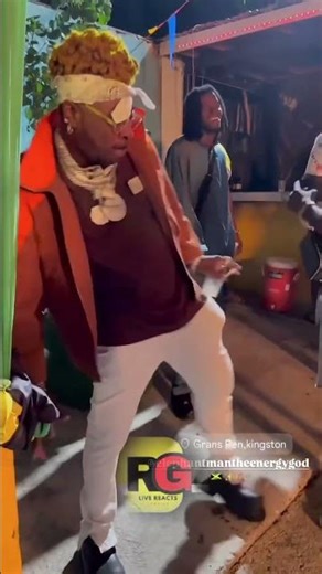 Elephant Hits the Gully Creeper! 🐘🔥