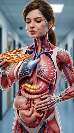 Pregnant Woman Anatomy | Baby Crying Inside Womb | 3D Medical Animation #medicalanimation #3danatomy