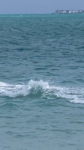 Family… I’m shifting the direction of this page. Over the years, I realized something: everything I’ve learned about money, credit, discipline, and building a better life didn’t just come from hustle… it came from God’s guidance. So I’m rebranding my credit page to @god_and_moneyy 👈 Go Follow!! Not because I’m trying to be deep, but because I know my purpose is bigger than credit tips and budgeting hacks. I’m here to help people grow in: • Faith • Mindset • Money • Purpose • Discipline • Legacy