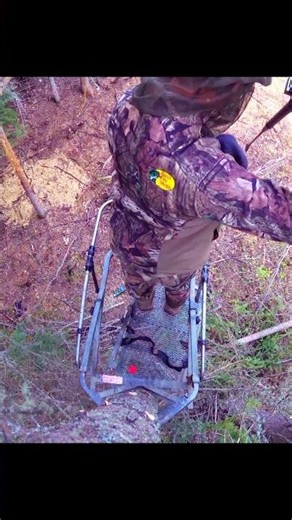 Extreme Black Bear Encounter in the Wild#BearHunting #BearEncounter #hunting