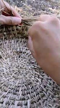 The art of weaving baskets with yucca leaves.