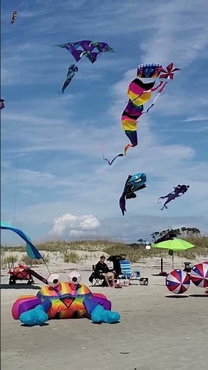 Time to Fly a Kite - Sunny Myrtle Beach