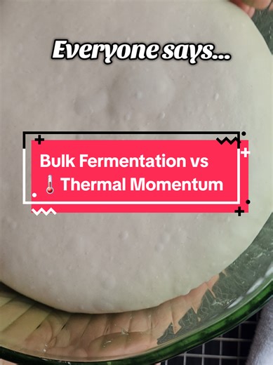 Mastering Bulk Fermentation for Perfect Sourdough
