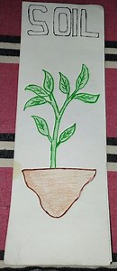 project on SOIL for class 7 #science #ytshorts #youtubeshorts #shorts