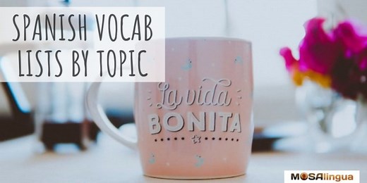 Spanish Vocabulary Lists by Topic   Spanish Quiz