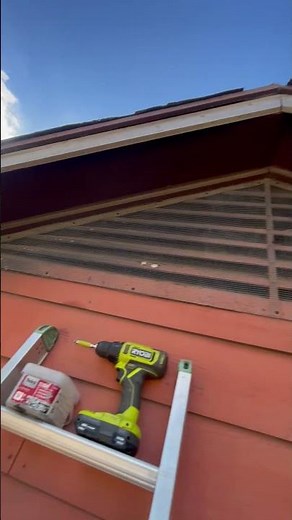🐾 Wildlife Trying to Sneak In Through Your Gable Vents? We Can Help!