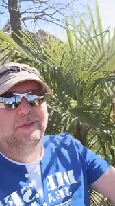 Single and searching from Germany | Christian dating sites