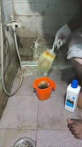 130 reactions · 7 comments | Bathroom cleaning tamil ✨ #bathroomcleaning #kitchencleaning #cleans #bathroomcleaner #kitchencleaner | Cleaner Chennai | Facebook