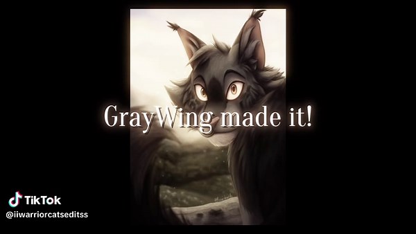 Warrior Cats Art Showcase and Collaborations