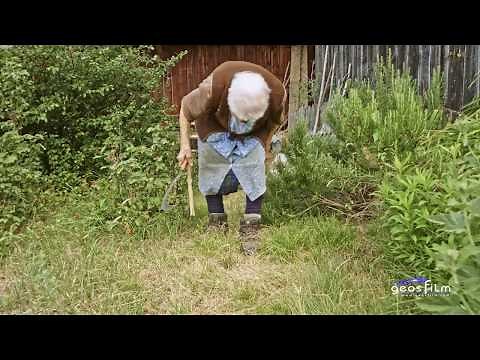 Trailer Solang der Herrgott will 01