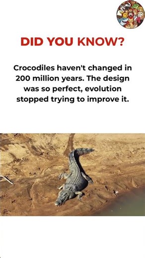 Why Crocodiles Are Basically Cheating Evolution #animals #facts