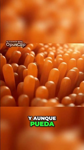 ¿Qué es la Flora Intestinal ¡Descubre Su Importancia! #saludable #bienestar #microbioma