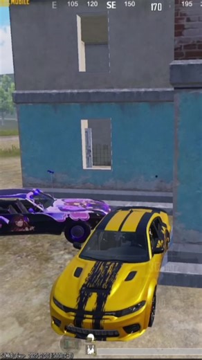 زلمتنه معرق - تحديات مفاجئة للشباب