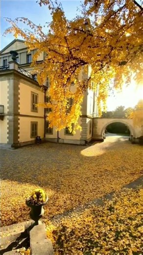 Beautiful scenery in the world🏞🌿|Autumn in Switzerland 🇨🇭