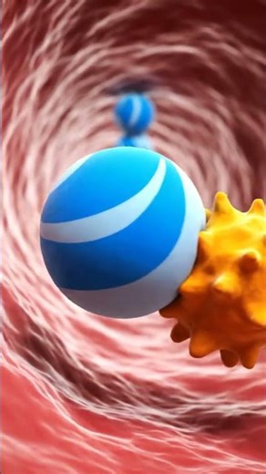 Cholesterol LDL vs HDL