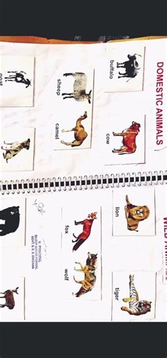 DECE PROJECT WORK PHASE -02 (20day-30 क्रिया सत्र)