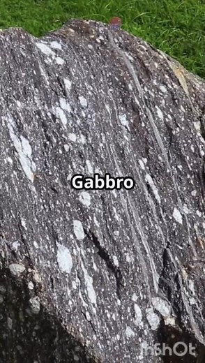 Gabbro! #geology #science #igneous #facts