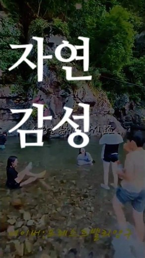 대자연의 자유로움 #애견동반여행 #여름휴가지 #계곡펜션