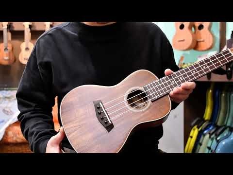 NEW/ISLANDER SAC-4 Concert【札幌店】@ukuleleshoptantan
