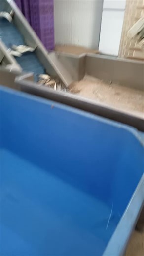 Fish Processing Facility: Sorting and Handling Explained