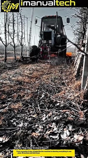 How Do They Clear Orchard Rows? Tractor Mulching Process