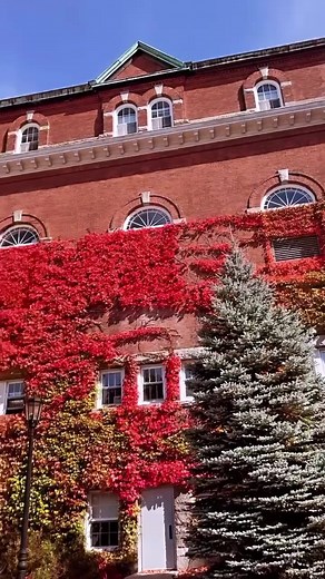 5.3K views · 187 reactions | It's officially #Fall, one of the most beautiful (and colorful) times of year on The Hill.  Here's a glimpse of what's to come...  #HolyCross | College of the Holy Cross | Facebook