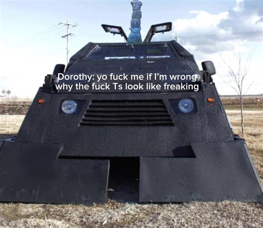 We are bring this meme back 🌹#tornadotok #fypシ゚viral #tornadoradar #dorothy #