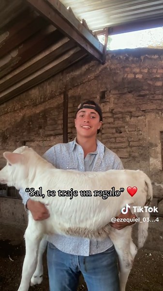 Sal, te traje un regalo: reacción romántica y tierna