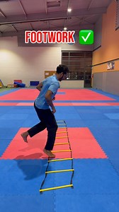 The Lab 🥼🧪: Tips and techniques to improve your leg work and training! 💥 Ready to level up? Follow for more exclusive content! 🔥✅ #taekwondo #thelab #tutorial #tkd #tips #learning #reels #reelsvideo #kick #speed | Dylan Chellamootoo