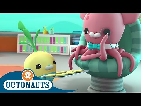Octonauts - Normal Activities | Cartoons for Kids | Underwater Sea Education