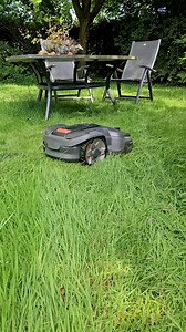 Hohes Gras? Kein Problem für einen Husqvarna Automower! 💪 🌱 @‌specht_reepsholt zeigt euch, wie sich sein Mähroboter durch das hohe Gras arbeitet – und den Rasen sauber trimmt. #husqvarna #garten #gartenliebe #rasenpflege #rasen #mähen #automower | Husqvarna