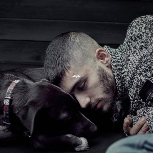 zayn add flight of the stars to the residency setlist challenge GO #zaynmalik #zaynmalikedit #zayn #1adddition2010 [edit, aesthetic] dts: @nialltown @JAE ꫂ ၴႅၴ @louisconverse @katie⭑ @zqouised @amina @Sanne⎊