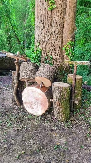 12K views · 35 reactions |  Wood you play this? #music #wood #instrument #tree #mixing #drums #recording | Avid | Facebook