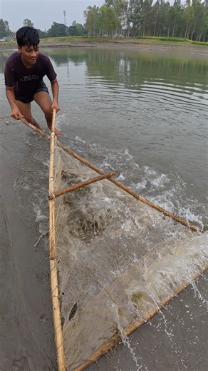 Traditional River Fishing by Rural Boy Using Triangle Net | RMB Fishing