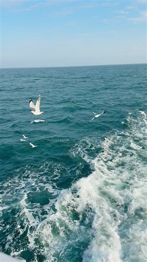 Discover Saint Martin's Pristine Seabeach