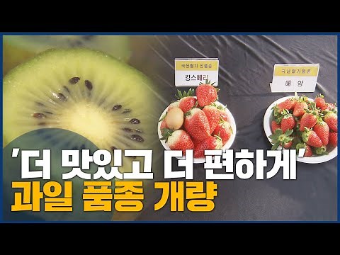 'Tastier and more convenient'... Fruit variety improvement