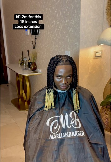 Premium 18-Inch Locs Extensions for Black Men